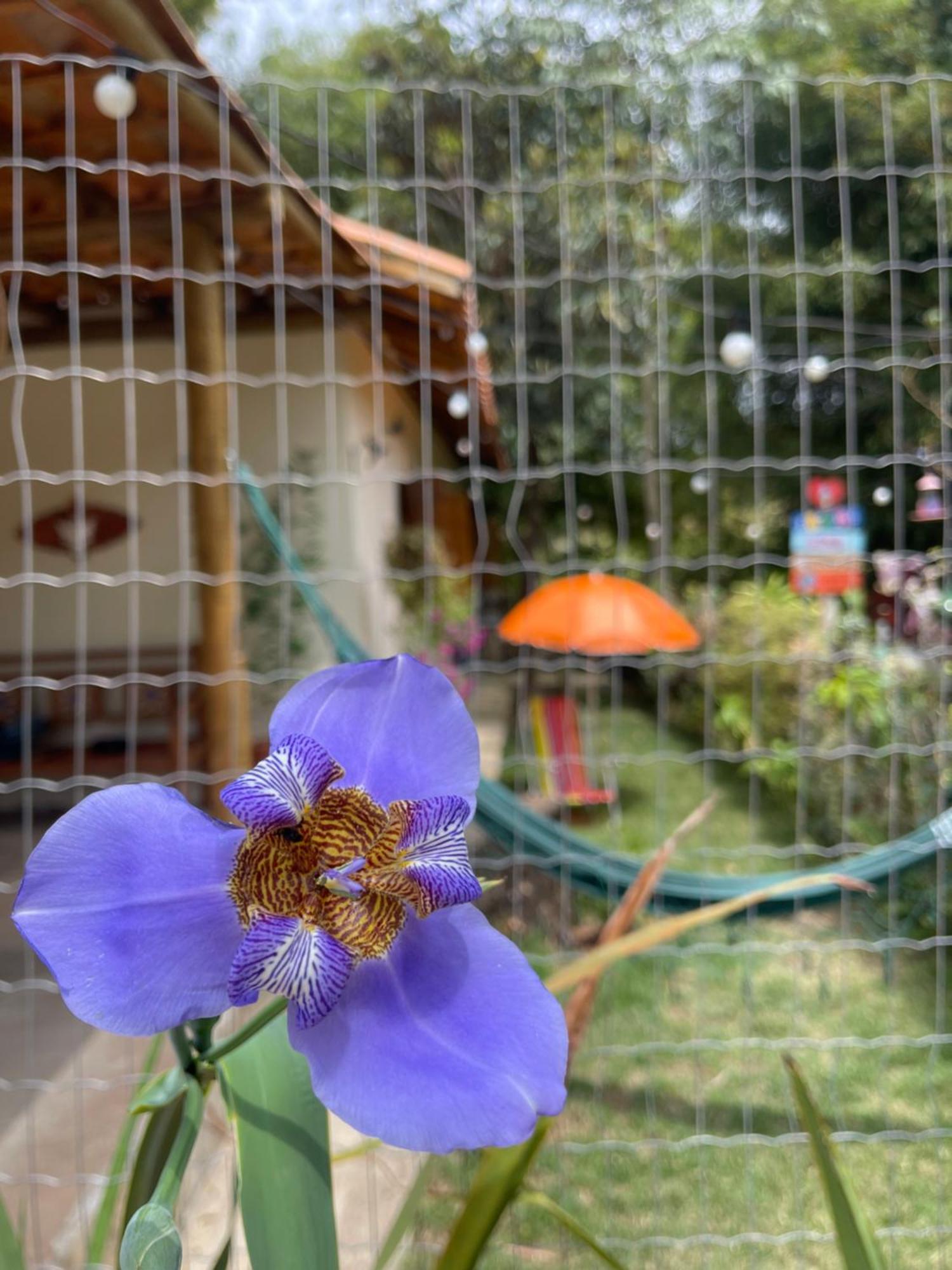 カランカス Chale Pepeヴィラ エクステリア 写真